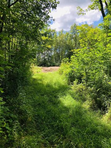 44131 Nature Avenue Palisade MN 56469