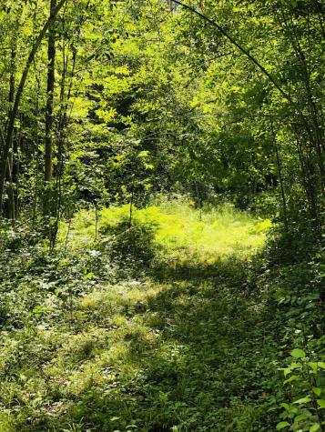 44131 Nature Avenue Palisade MN 56469