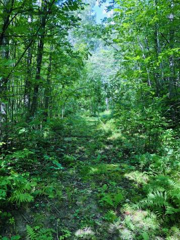 44131 Nature Avenue Palisade MN 56469