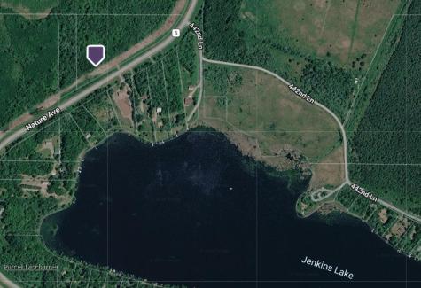 44131 Nature Avenue Palisade MN 56469