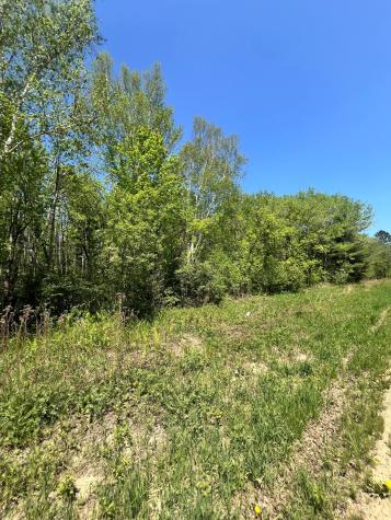 Tbd County Road 67 Grand Rapids MN 55744