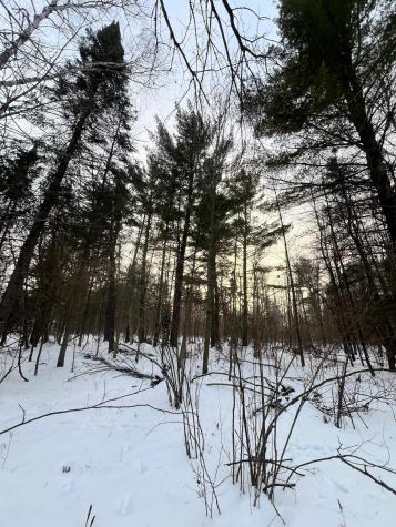 Tbd County Road 67 Grand Rapids MN 55744