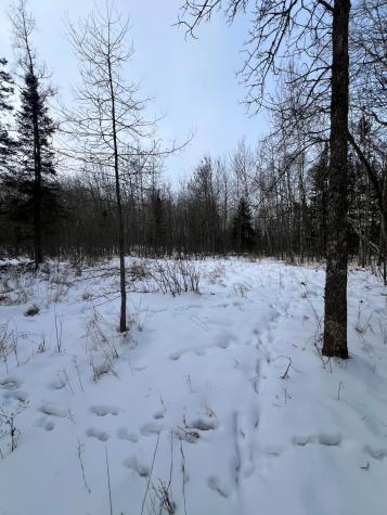 Tbd County Road 67 Grand Rapids MN 55744