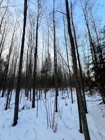 Tbd County Road 67 Grand Rapids MN 55744