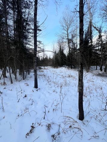 Tbd County Road 67 Grand Rapids MN 55744