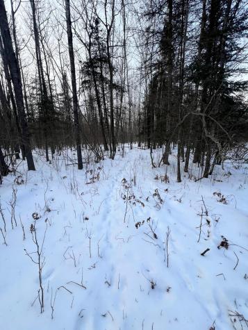Tbd County Road 67 Grand Rapids MN 55744
