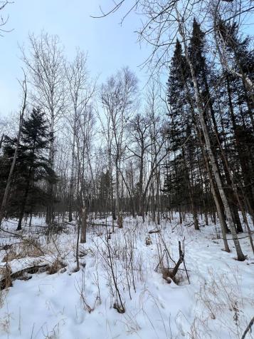 Tbd County Road 67 Grand Rapids MN 55744
