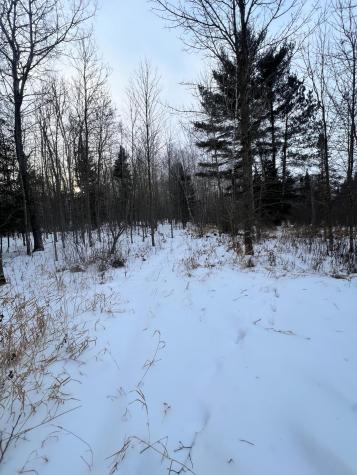 Tbd County Road 67 Grand Rapids MN 55744