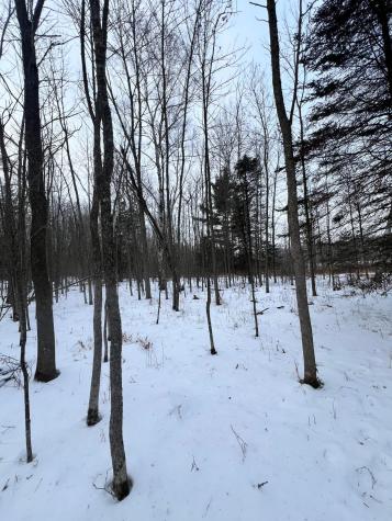 Tbd County Road 67 Grand Rapids MN 55744