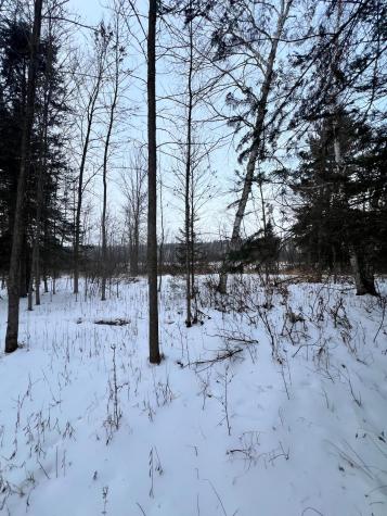 Tbd County Road 67 Grand Rapids MN 55744