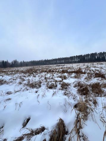 Tbd County Road 67 Grand Rapids MN 55744