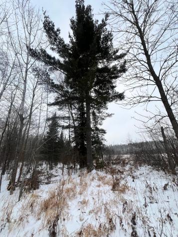 Tbd County Road 67 Grand Rapids MN 55744
