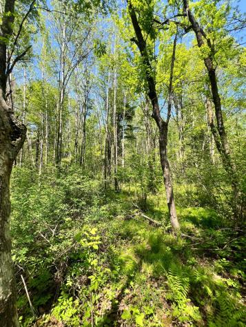 Tbd County Road 67 Grand Rapids MN 55744