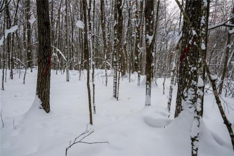 Block 8 Comet Road Exeland WI 54835