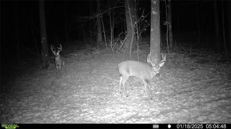 Block 8 Comet Road Exeland WI 54835