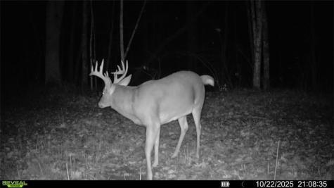 Block 8 Comet Road Exeland WI 54835