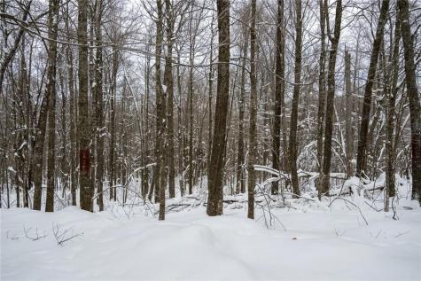 Block 8 Comet Road Exeland WI 54835