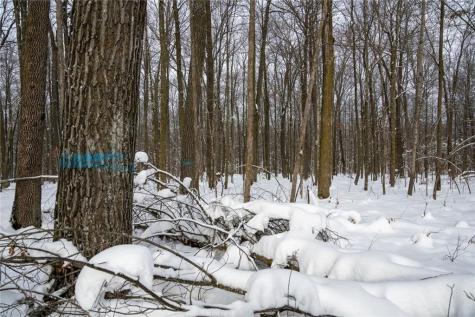 Block 8 Comet Road Exeland WI 54835