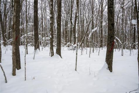 Block 8 Comet Road Exeland WI 54835