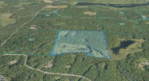 Tbd Red Oak Drive Garrison MN 56450