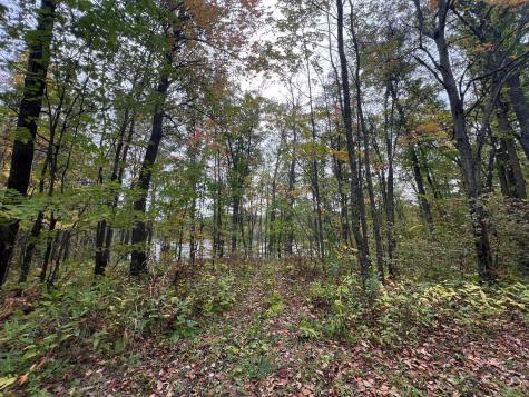Tbd Red Oak Drive Garrison MN 56450