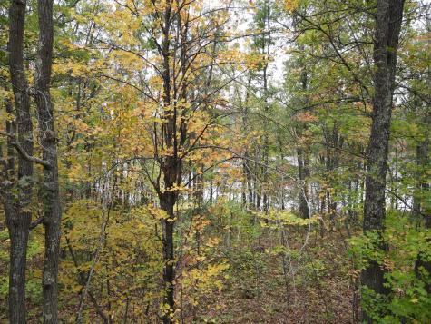 Tbd Red Oak Drive Garrison MN 56450