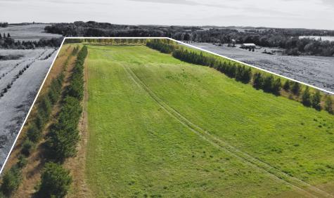 21XXX 310th Street Fergus Falls MN 56537