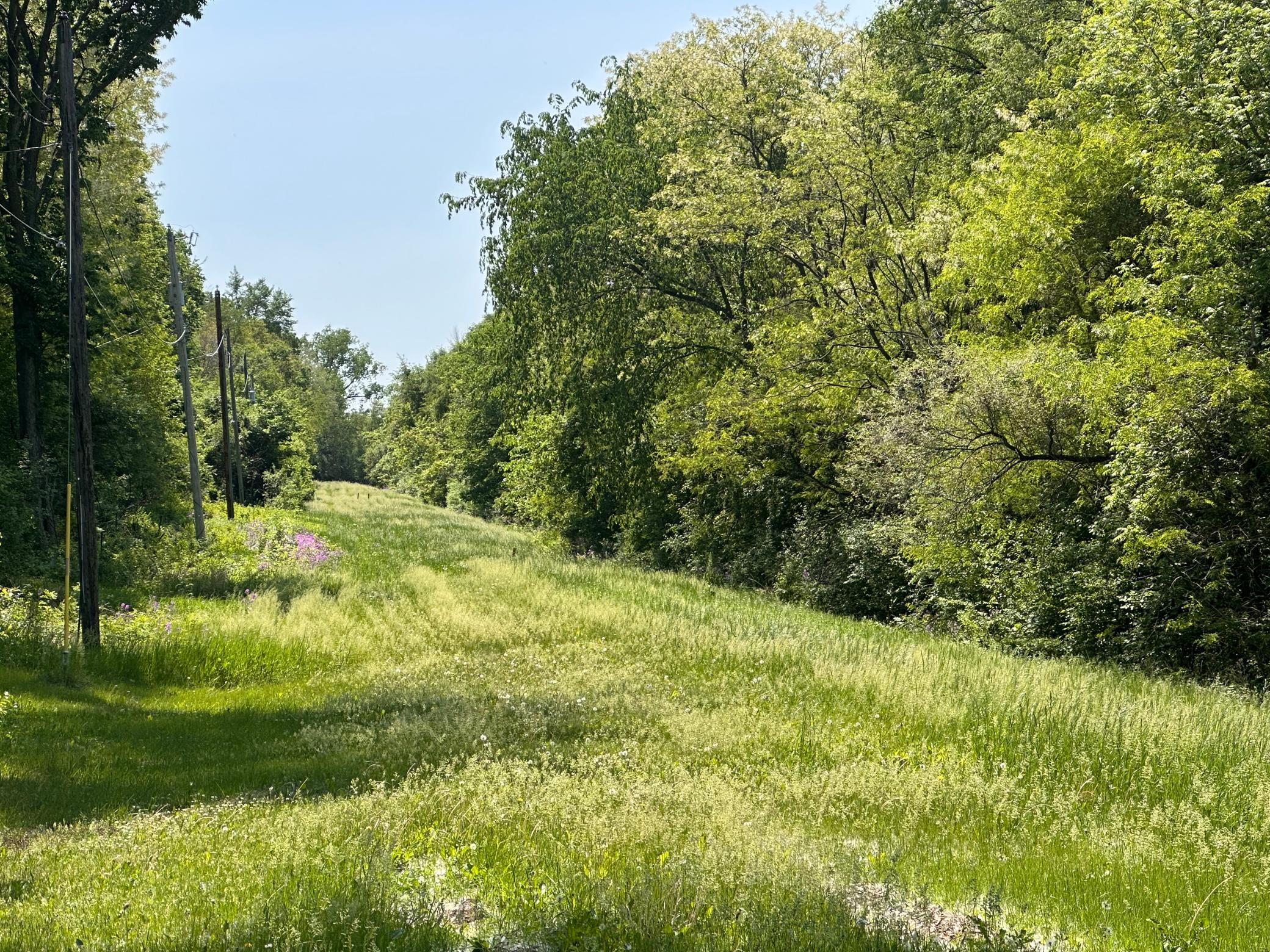 Tbd Pullman Avenue Saint Paul Park MN 55071