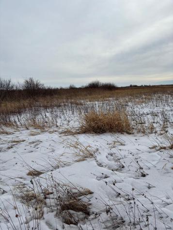 Tbd Highway 59 Mahnomen MN 56557