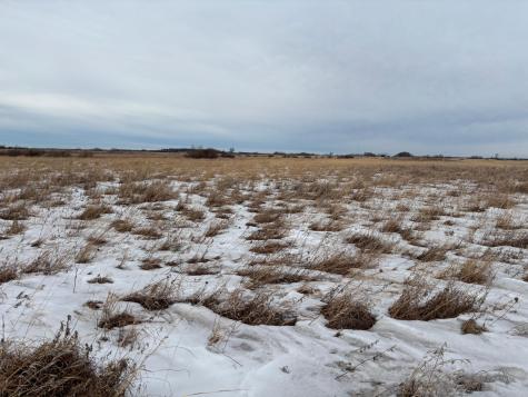Tbd Highway 59 Mahnomen MN 56557
