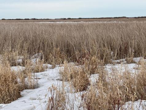 Tbd Highway 59 Mahnomen MN 56557