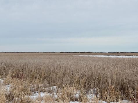 Tbd Highway 59 Mahnomen MN 56557