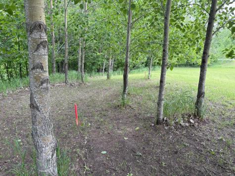 28247 Water Street Trail Underwood MN 56586