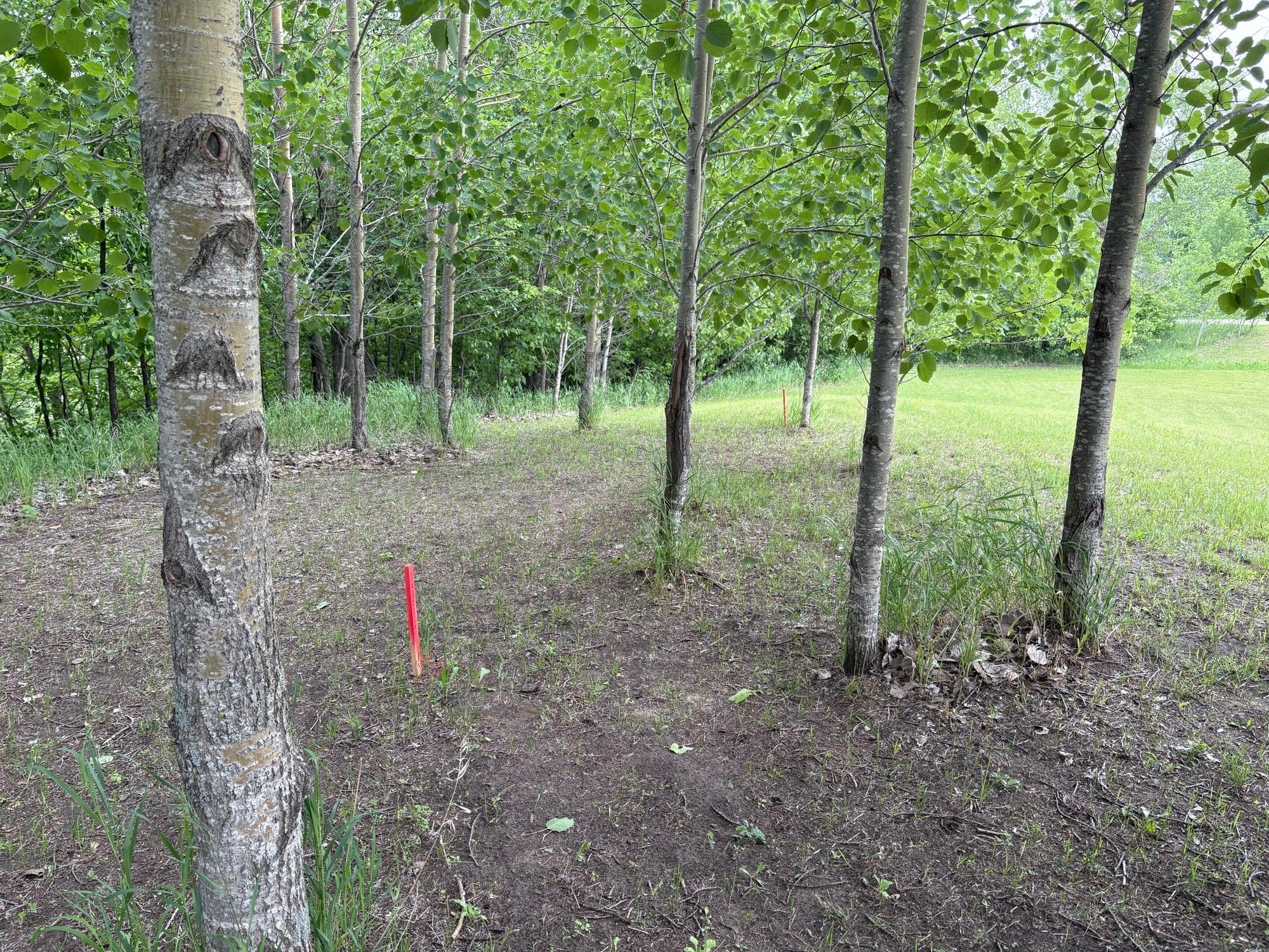 28247 Water Street Trail Underwood MN 56586