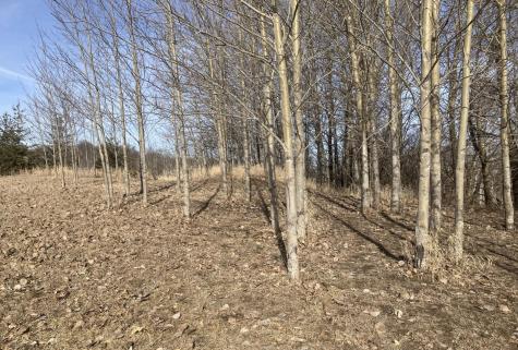 28247 Water Street Trail Underwood MN 56586