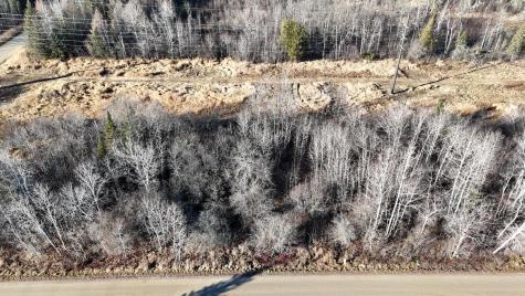 Parcel C Parameter Road Deer River MN 56636