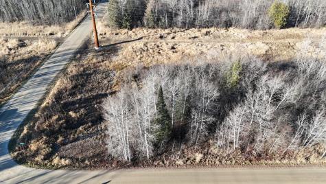 Parcel C Parameter Road Deer River MN 56636