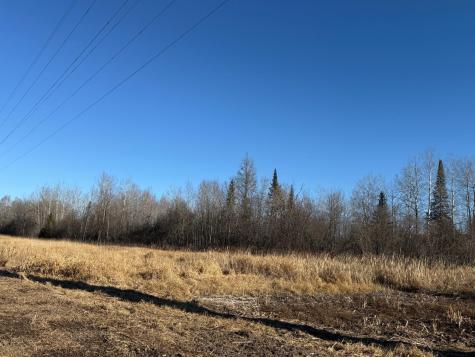 Parcel C Parameter Road Deer River MN 56636