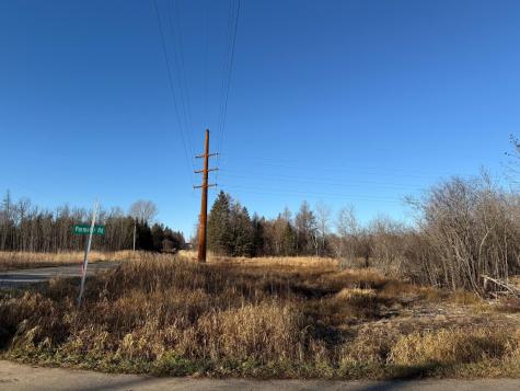 Parcel C Parameter Road Deer River MN 56636