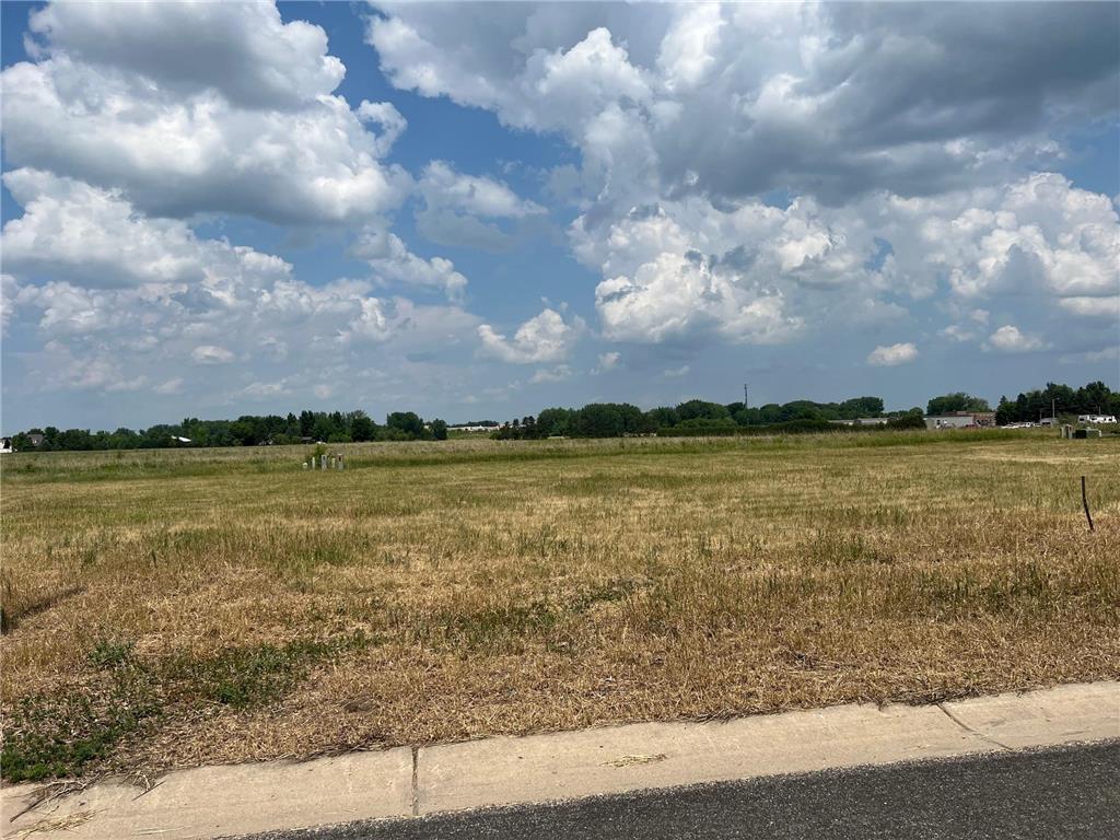 709 W 8th Street Litchfield MN 55355