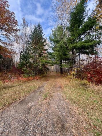 18686 State Highway 200 Jacobson MN 55752