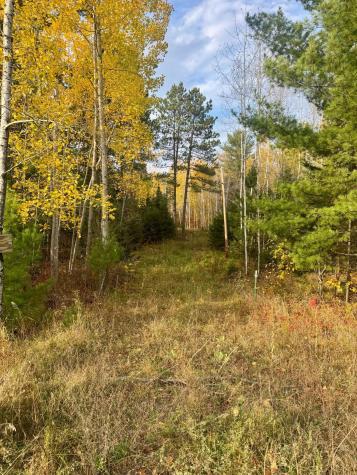 18686 State Highway 200 Jacobson MN 55752