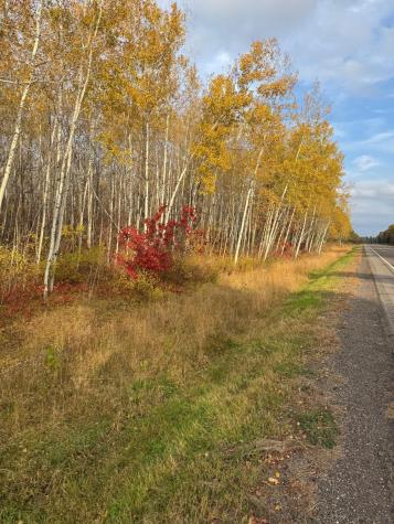 18686 State Highway 200 Jacobson MN 55752