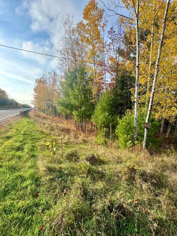 18686 State Highway 200 Jacobson MN 55752