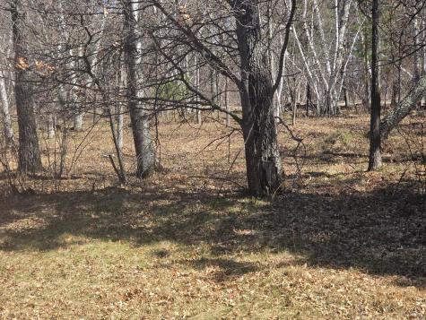 34XXX Lot 2 Happy Landing Road Cross Lake MN 56442
