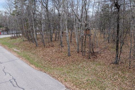 34XXX Lot 2 Happy Landing Road Cross Lake MN 56442