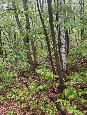 Tbd Flintstone Cushing Twp MN 56443