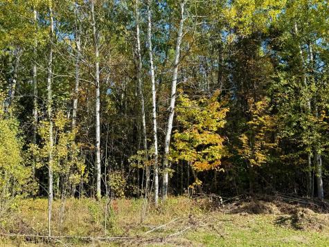 36719 State Highway 65 Nashwauk MN 55769