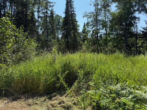 36719 State Highway 65 Nashwauk MN 55769
