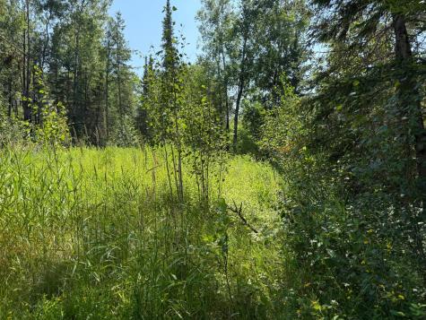 36719 State Highway 65 Nashwauk MN 55769